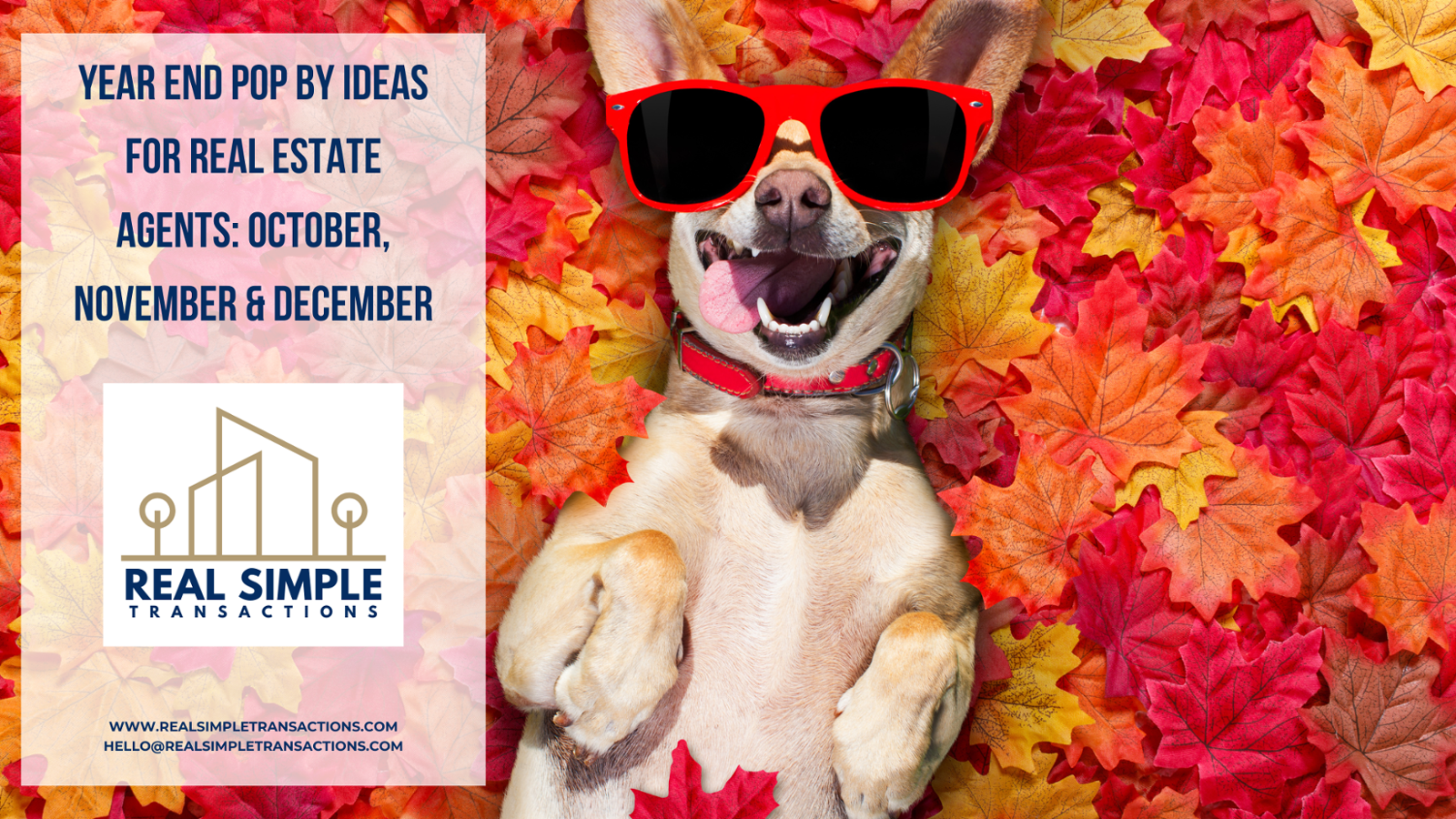 Year-End Pop-By Ideas for Real Estate Agents: October, November, and December